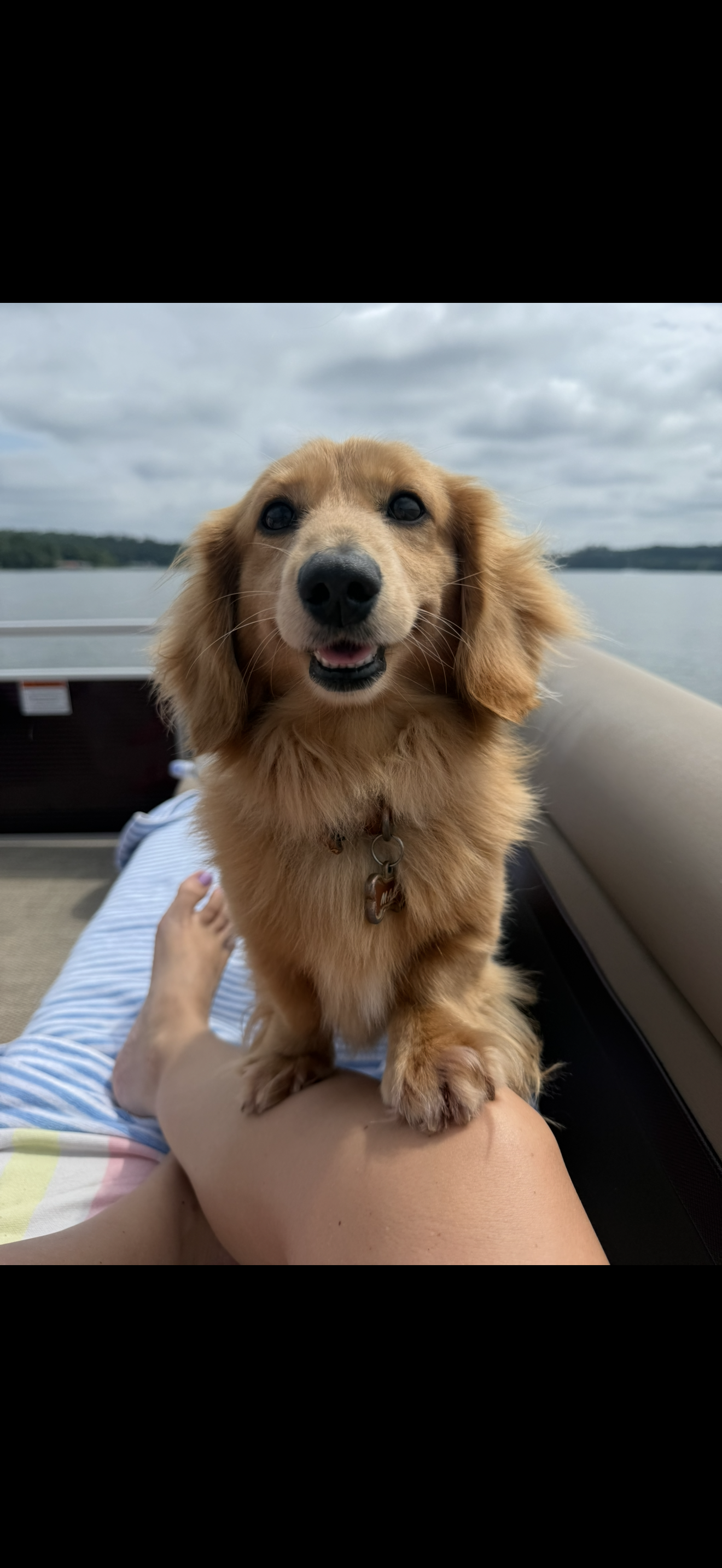 Max