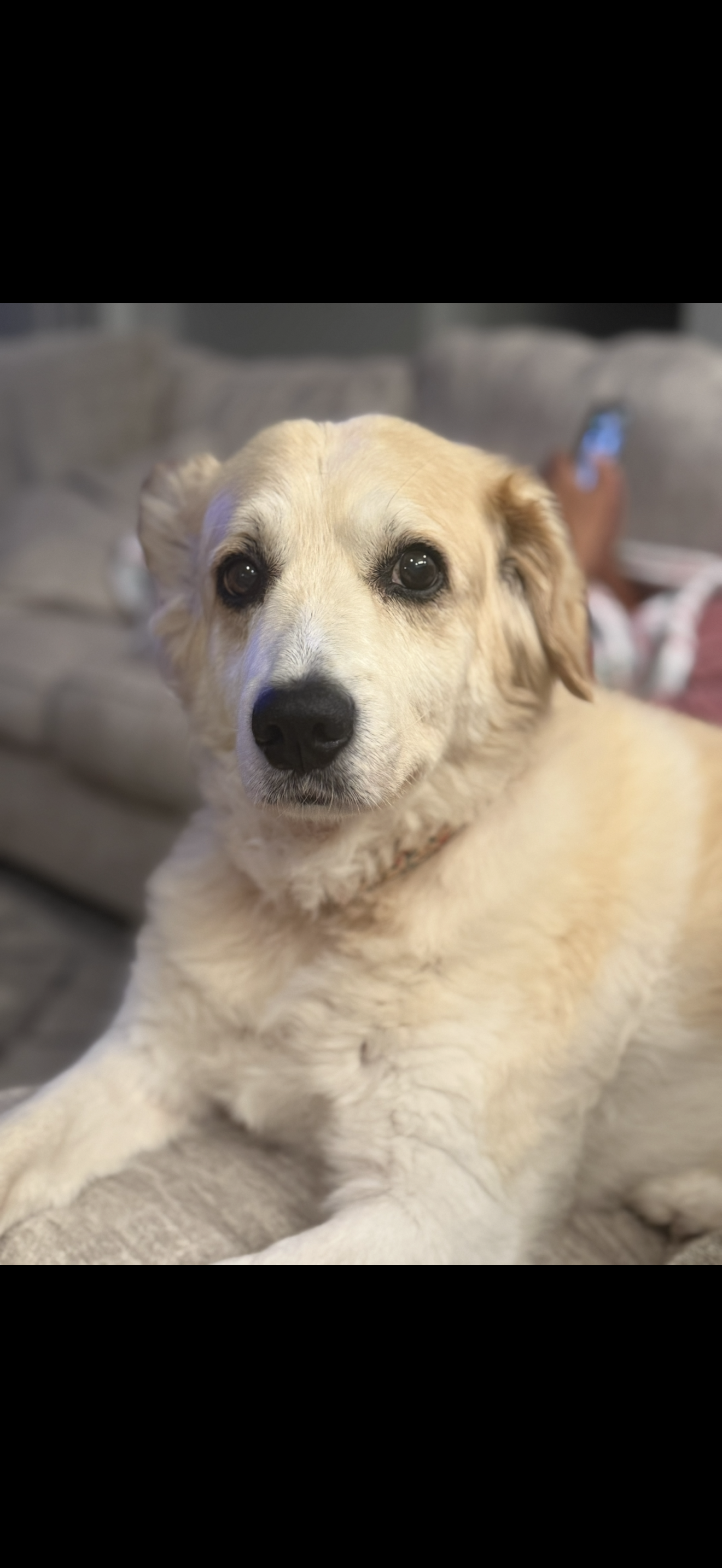 Sadie